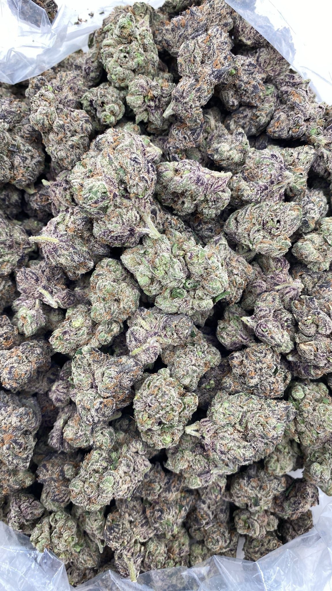 AAA Kings Flower Fuzumaki