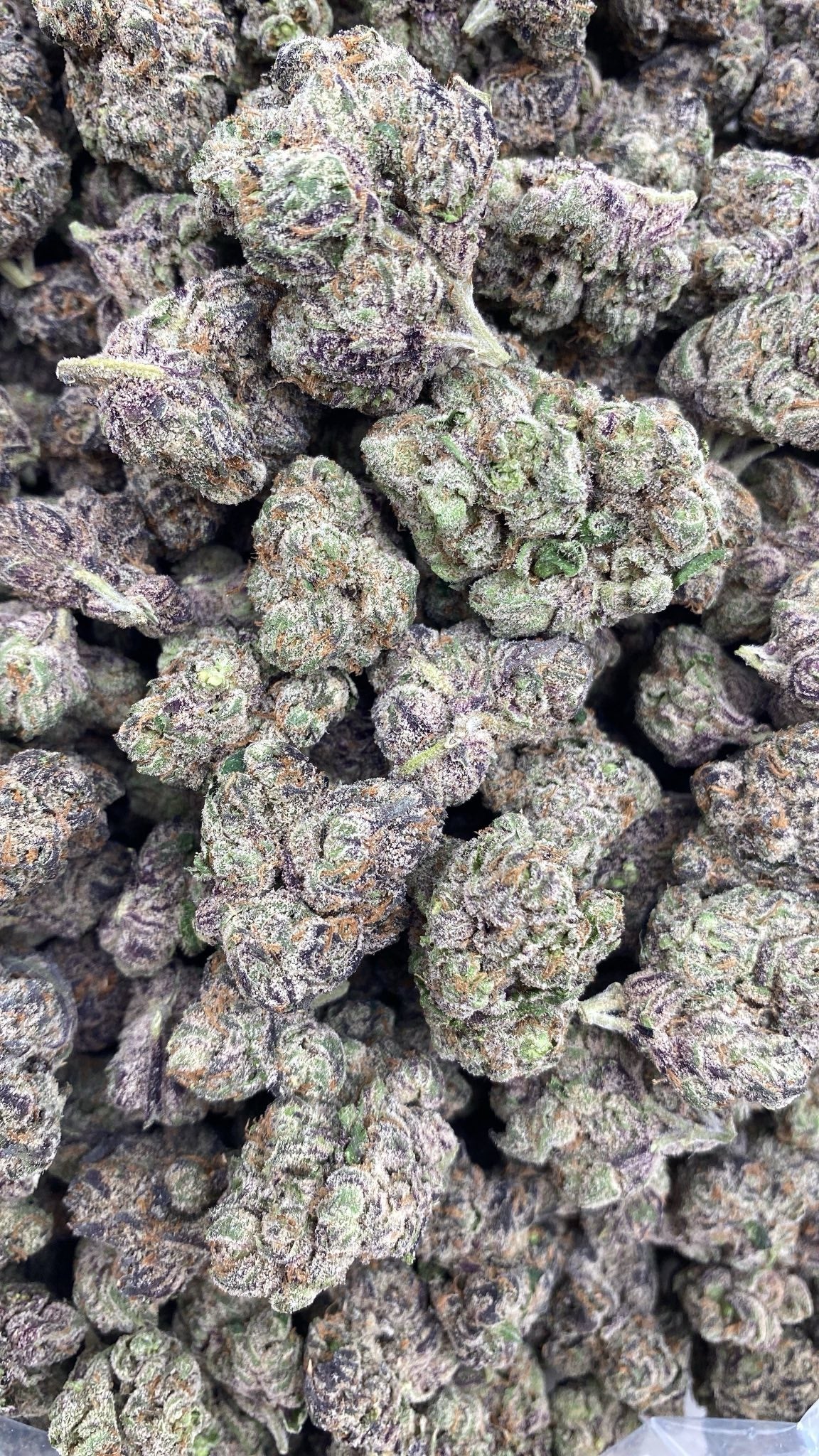 AAA Kings Flower Fuzumaki