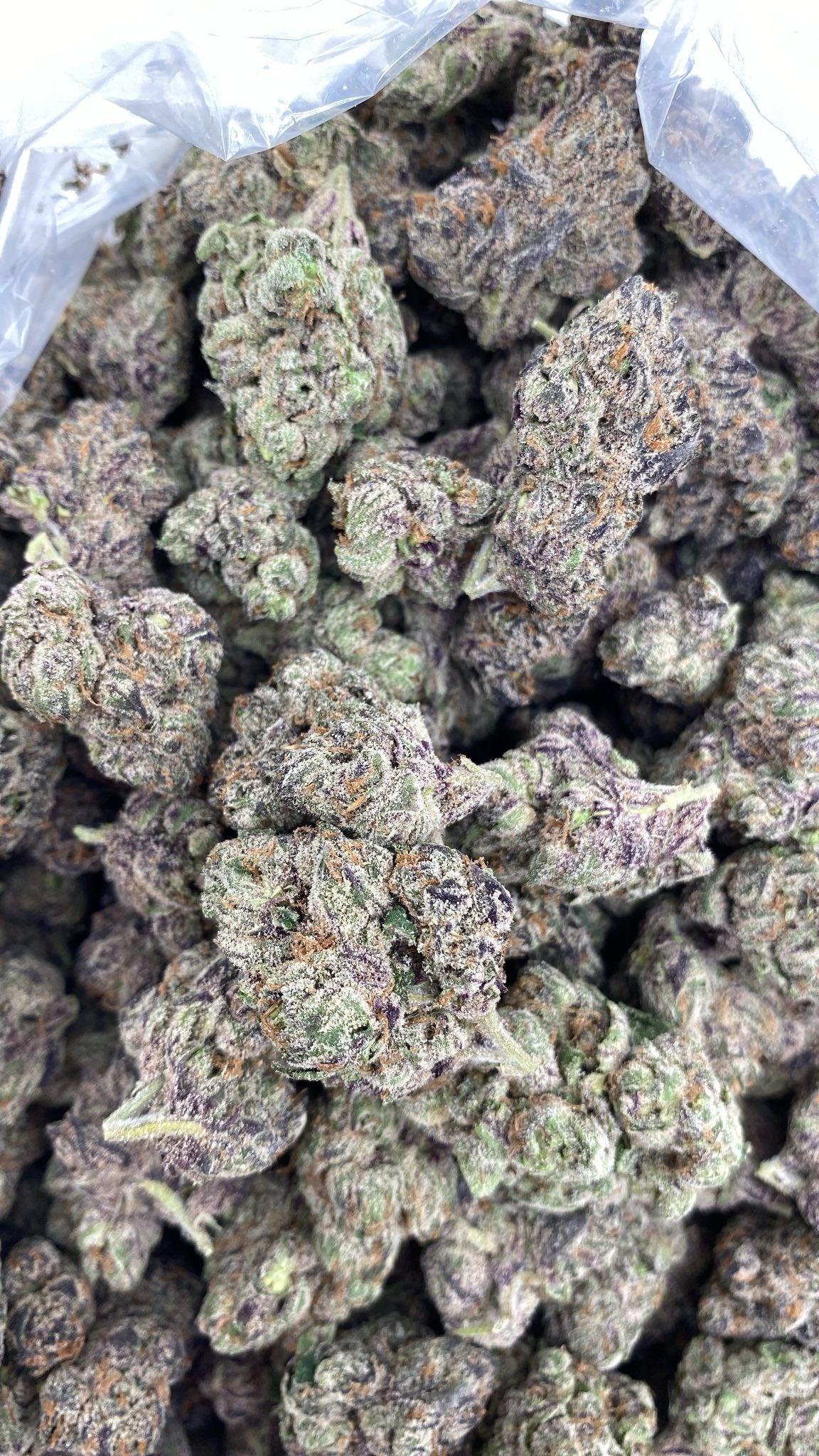 AAA Kings Flower Fuzumaki