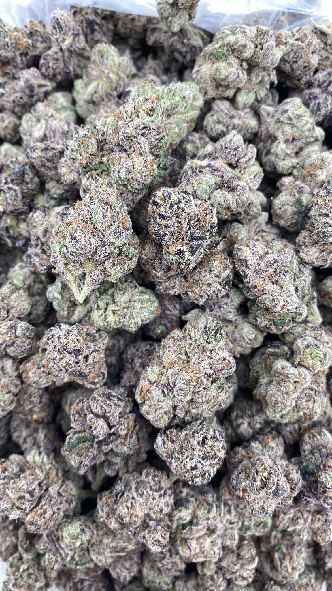 AAA Kings Flower Curelato