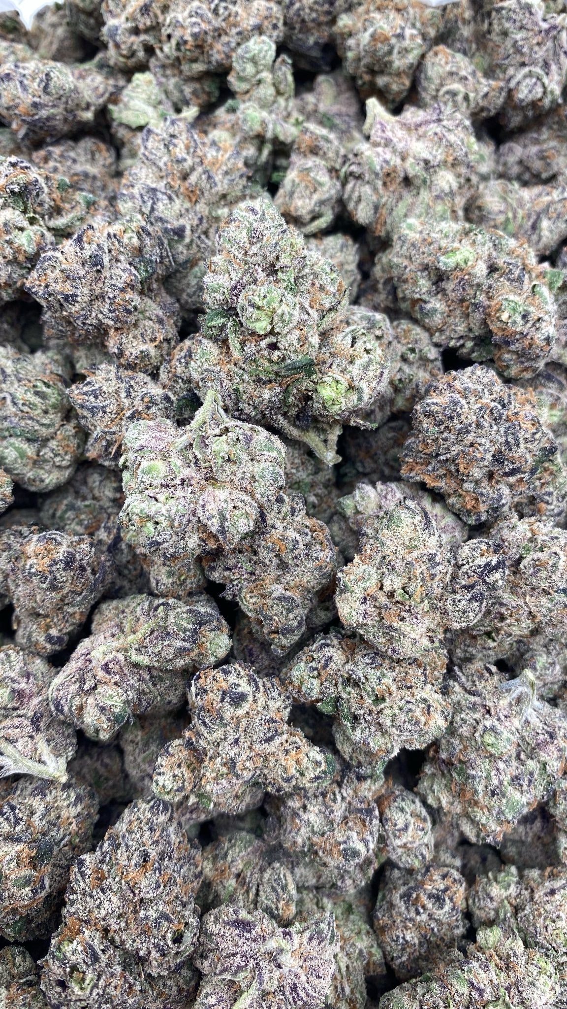 Cherry Poppers Flower