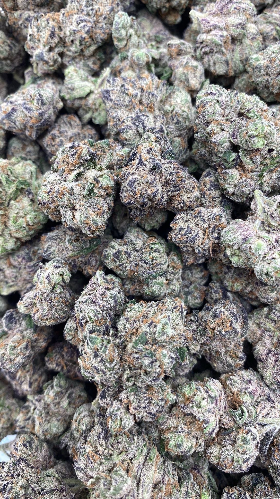 AAA Kings Flower Cherry Poppers