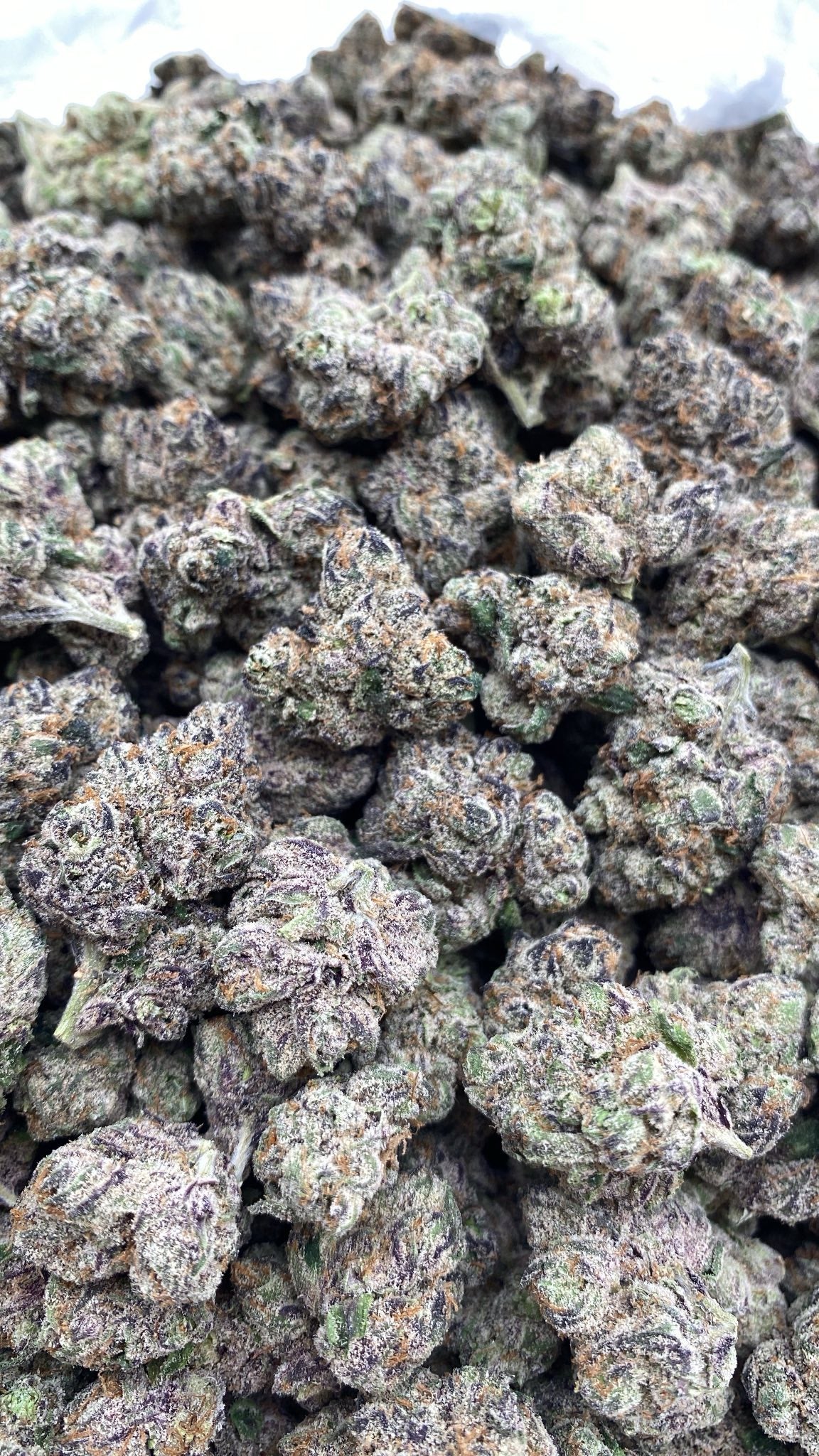 AAA Kings Flower Cherry Poppers